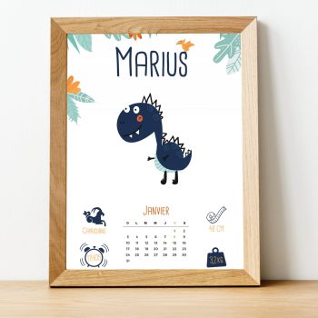 Affiche de naissance